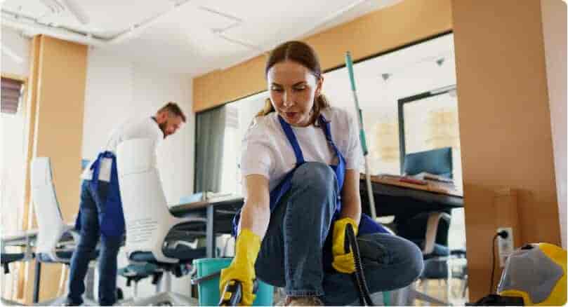 Where Cleanliness meets Care Services - 蜂鸟电竞